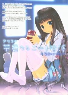 (C80) [ActiveMover (Arikawa Satoru)] Alice no Kareinaru Neet Seikatsu ~Kami-sama no Memochou~ (Kami-sama no Memochou) - page 2