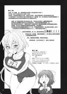 (COMIC1☆6) [Akusei-Shinseibutsu (Nori)] CRYSTAL BREAK (Senki Zesshou Symphogear) [Chinese] [假良假影个人汉化] - page 4