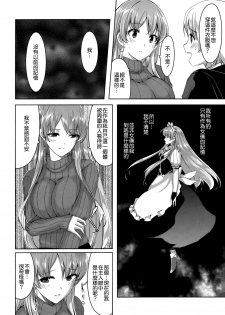 [Gustav] Reika wa Karei na Boku no Maid [Chinese] [無邪気漢化組] - page 27