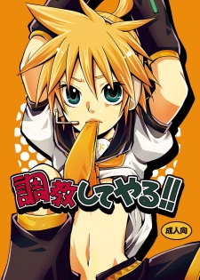 [Yomosugara (Yomogi Ringo)] Choukyou Shiteyaru!! (VOCALOID) [English] [Otokonoko Scans] [2008-05] - page 1