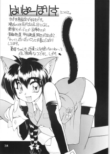 (C51) [EINSATZ GRUPPE (Various)] Hyper Police Inga Ouhou (Hyper Police) - page 27