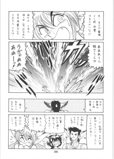 (C51) [EINSATZ GRUPPE (Various)] Hyper Police Inga Ouhou (Hyper Police) - page 35
