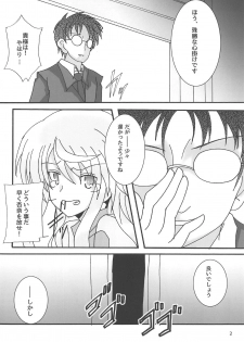 (Scramble Chuuiki Chousa Ninmu No.19X427) [D☆G (MoTo)] Usagi wa Eien no Yume o Miru (Alice Gear Aegis) - page 3