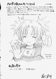 (C59) [Denchuu Rui (Denchuu Rui)] Hogo Kansatsu (Naruto) - page 25