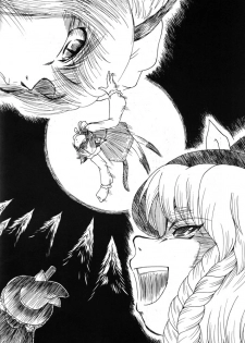(C68) [Aniki Empire (Fey Tas)] Muteki Danmaku Musume 2 | Invincible Danmaku Girl 2 (Touhou Project) - page 4