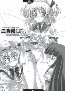 (Koiiro Magic) [Mirabilien Fabrik, LemonMaiden (Aoi Marin, Yuzu Momo)] Touhou Eros (Touhou Project) - page 5