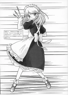 [Monopole Laboratory] me and me {Touhou Project} - page 15