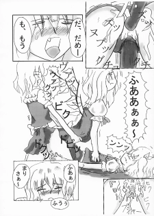 [Monopole Laboratory] me and me {Touhou Project} - page 9