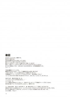 (CSP4) [PARANOIA CAT (Fujiwara Shunichi)] Touhou Ukiyo Emaki Alice Margatroid (Touhou Project) - page 24