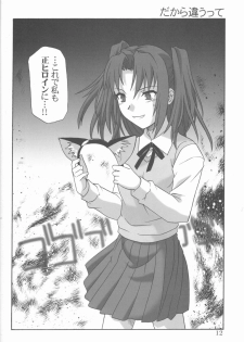 (C61) [.30-06 (Tsutsumi Akari)] Mitsugetsu (Tsukihime) - page 11
