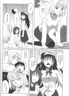 (C61) [.30-06 (Tsutsumi Akari)] Mitsugetsu (Tsukihime) - page 29