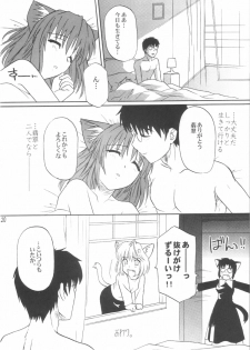 (C63) [.30-06 (Tsutsumi Akari)] Mitsugetsu Vol. 3 (Tsukihime) - page 19