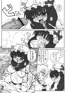 (SC28) [Domestic animals (Murasame Maru)] Seireitsukai no Gogo | Afternoon of The Sorceress (Touhou Project) - page 10