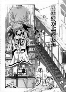 (SC36) [STUDIO HUAN (Raidon)] Fate-chan. Mahiru no Rojou Choukyou Hen (Mahou Shoujo Lyrical Nanoha) - page 3