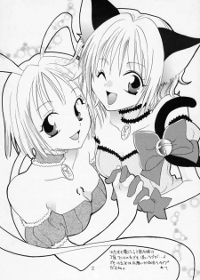 [KURIONE-SHA (YU-RI)] MYUU MUSUME. 3 (Tokyo Mew Mew) - page 21