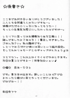(SC28) [Lyco-Z (Raikouji Aya)] Evening Shimai. (Touhou Project) - page 17