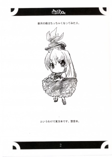 (C67) [Gutenberg no Musume (DesumasuQ, KnightO Satoshi)] Shirasawa (Touhou Project) - page 3