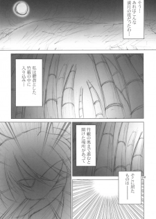 (C67) [GROUND-Zero (Inui)] Meikyou Shisui (Touhou Project) - page 3