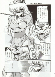 (CR15) [Circle Taihei-Tengoku (Horikawa Gorou)] Super Mario Collection (Super Mario Brothers) - page 20