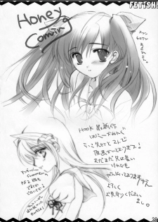 (C70) [MAKA-RAKKO (Matsushita Makako, Rakko)] FETiSH! (Fate/stay night) - page 27