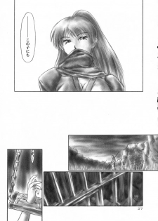 (C58) [Hellabunna (Iruma Kamiri)] INU/MURASAKI (Dead or Alive) - page 27