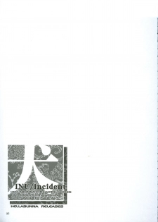 (C64) [Hellabunna (Iruma Kamiri)] INU/incident (Dead or Alive) - page 24