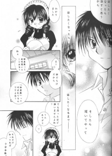 (C64) [Sakurakan (Seriou Sakura)] Tobikikiri no Himitsu (Inuyasha) - page 21