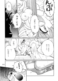 (C62) [Genkin-dou Souhonpo (Geroppa)] Go! Go! Girl!! (Ragnarok Online) - page 19