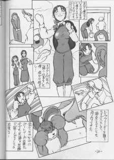 (C54) [Oiwaidou (Iwasaki Tatsuya)] Monsterlog (Pokémon) - page 31