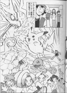 (C54) [Oiwaidou (Iwasaki Tatsuya)] Monsterlog (Pokémon) - page 10