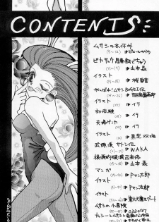 (C55) [Toluene Ittokan (Various)] Ketsu! Megaton R (Pokémon) - page 3