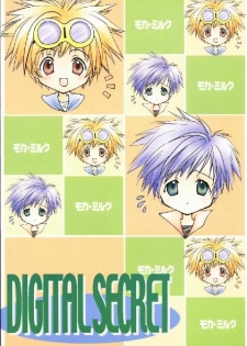 (C60) [Moka Milk (Hojo Takumi, Yoshinaga Mimi)] Digital Secret (Digimon Tamers) - page 30