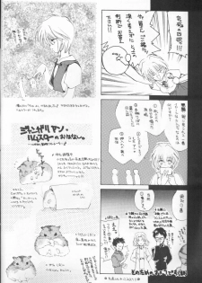 (CR20) [Hanzai Tengoku (Hasei Agana)] Kikei no Sakana (Neon Genesis Evangelion) - page 18