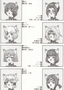 (C66) [Mederukai (Yoshino Koyuki)] Mithra o Mederu Hon 3+1 (Final Fantasy XI) - page 3