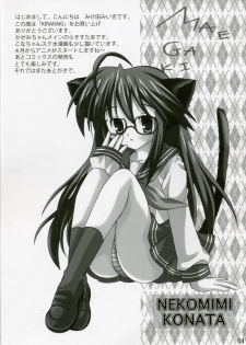 (SC35) [3 colors cat (Miketa Miekichi)] KIRARAKI (Lucky Star) - page 3