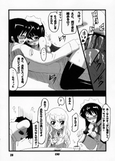 (SC35) [Kurono to Kuroe (Kurono, Ryushu)] Siesta-san no Nounai Jijou. (Zero no Tsukaima) - page 27