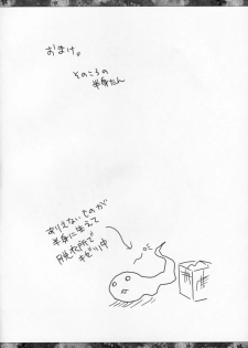 (Reitaisai 3) [ICHIGOSIZE (Natsume Eri)] Yoi no Tawamure (Touhou Project) - page 19