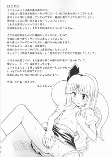 (Reitaisai 2) [Takakuya (Takaku Toshihiko)] Touhou Youjo Ranbu 3 (Touhou Project) - page 3