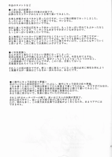 (Reitaisai 2) [Takakuya (Takaku Toshihiko)] Touhou Youjo Ranbu 3 (Touhou Project) - page 46
