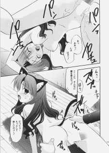 (C72) [C.A.T (Morisaki Kurumi)] RED/II (Fate/stay night) - page 28