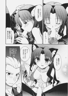 (C72) [C.A.T (Morisaki Kurumi)] RED/II (Fate/stay night) - page 21