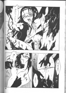[FAKESTAR (Miharu)] CHAOS STEP 1+2 (Hellsing) - page 43