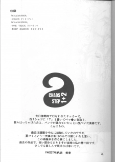 [FAKESTAR (Miharu)] CHAOS STEP 1+2 (Hellsing) - page 2