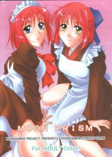 (CR31) [Nyandabaa (Kachoufuugetsu)] MOON PRISM (Tsukihime) - page 28