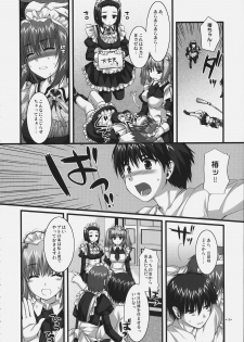 (C72)[Alpha to Yukaina Nakamatachi] Tsubaki to Kiku Fina~le! - page 17