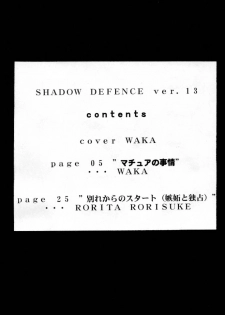 [TAIL OF NEARLY] Shadow Defense 13 (Cowboy Bebop, King of Fighters) - page 3