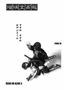 (C61) [U-A Daisakusen, Lapislazuli=corporation (Harada Shoutarou)] Ruridou Gahou CODE:16 (Dead or Alive) - page 2