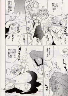 [St. Rio (Ishikawa Jippei)] Gekitsuiou (Sakura Taisen 4) - page 13