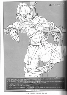 (C67) [NP Virus Jouryuusho (N-P-KATOU)] Mithman Report FILE:00-FILE:15 (Final Fantasy XI) - page 12