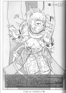 (C67) [NP Virus Jouryuusho (N-P-KATOU)] Mithman Report FILE:00-FILE:15 (Final Fantasy XI) - page 18